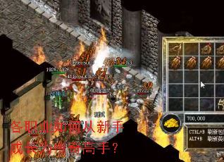 ��ְҵ��δ����ֳɳ�Ϊ������֣�