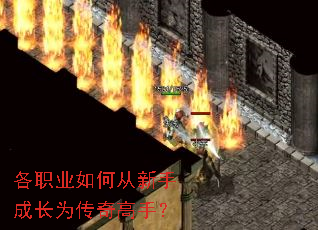 ��ְҵ��δ����ֳɳ�Ϊ������֣�