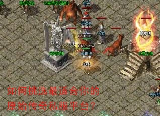 �����ѡ���ʺ����ԭʼ����˽��ƽ̨��