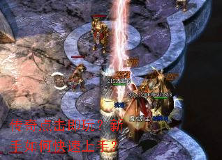 ���������棿������ο������֣�