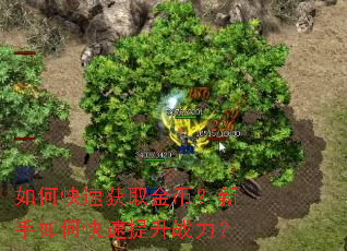 ��ο��ٻ�ȡ��ң�������ο�������ս����