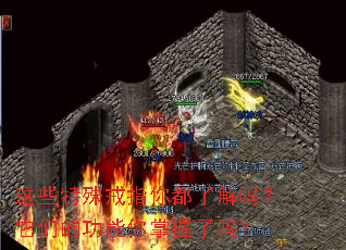 ��Щ�����ָ�㶼�˽������ǵĹ�������������