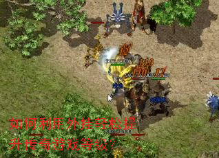 如何利用外挂轻松提升传奇游戏等级? 如何利用外挂轻松提升传奇游戏等级?