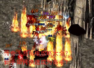 ��������˽�����Դ�ȫ��������ο��ٳ�Ϊ���֣�