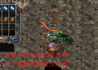 ��������˽�����Դ�ȫ��������ο��ٳ�Ϊ���֣�