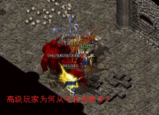 高级玩家为何从不轻视新手? 高级玩家为何从不轻视新手?