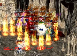 高级玩家为何从不轻视新手? 高级玩家为何从不轻视新手?