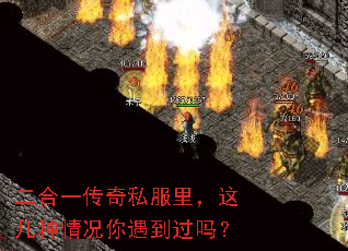 二合一传奇私服里,这几种情况你遇到过吗? 二合一传奇私服里,这几种情况你遇到过吗?