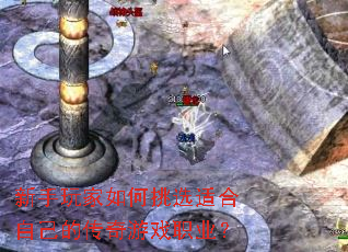 ������������ѡ�ʺ��Լ��Ĵ�����Ϸְҵ��