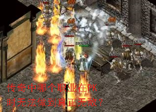 �������ĸ�ְҵ��PKʱ�޷����������޵У�