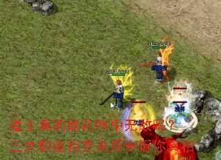 ��ʿ�������PK���޵�������ְҵ��˹�ϵ����������