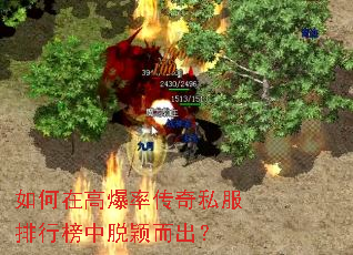 ����ڸ߱��ʴ���˽�����а�����ӱ������