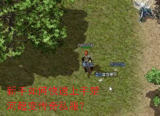 ������ο������ֳ��ӳ��䴫��˽����