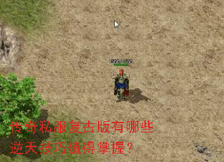 ����˽�����Ű�����Щ���켼��ֵ�����գ�