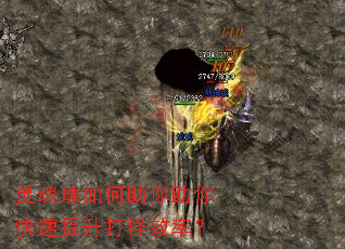 ��������������������������Ч�ʣ�