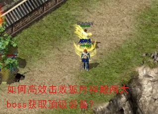 如何高效击败狐月神殿两大boss获取顶级装备? 如何高效击败狐月神殿两大boss获取顶级装备?