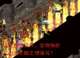 ��ʿ�������������ﹷ��ʵ��Ҳ����֮��ǿ��