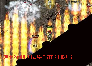 道士如何利用召唤兽在PK中取胜? 道士如何利用召唤兽在PK中取胜?