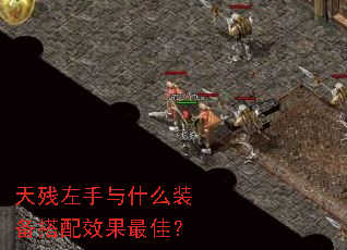 ���������ʲôװ������Ч����ѣ�