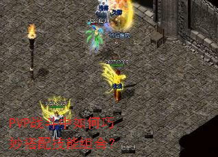 PVPս�������������似����ϣ�