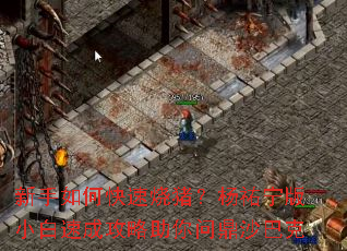 ������ο�����������v����С���ٳɹ��������ʶ�ɳ�Ϳ�