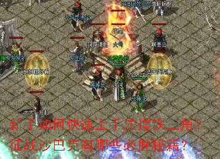 新手如何快速上手法道铁三角?征战沙巴克有哪些必胜秘籍? 新手如何快速上手法道铁三角?征战沙巴克有哪些必胜秘籍?