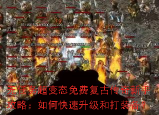 �����񳬱�̬��Ѹ��Ŵ������ֹ��ԣ���ο��������ʹ�װ����