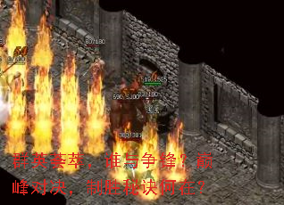 群英荟萃,谁与争锋?巅峰对决,制胜秘诀何在? 群英荟萃,谁与争锋?巅峰对决,制胜秘诀何在?