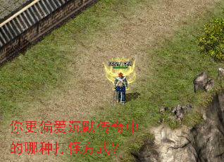 ���ƫ����Ĭ�����е����ִ�ַ�ʽ��