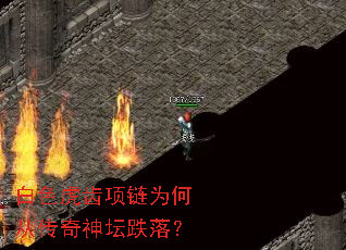 白色虎齿项链为何从传奇神坛跌落? 白色虎齿项链为何从传奇神坛跌落?