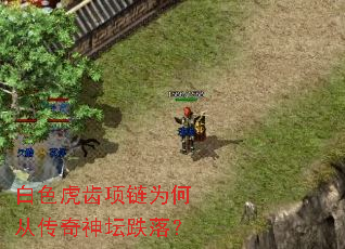 白色虎齿项链为何从传奇神坛跌落? 白色虎齿项链为何从传奇神坛跌落?