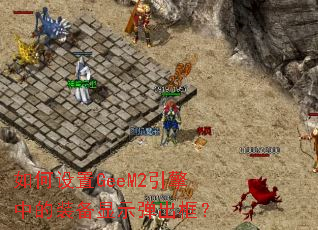 �������GeeM2�����е�װ����ʾ������