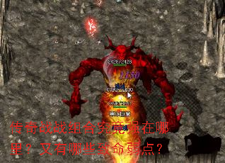 ����սս��Ͼ���ǿ�����������Щ�������㣿