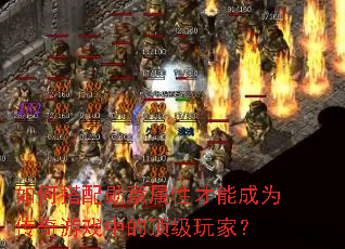 如何搭配勋章属性才能成为传奇游戏中的顶级玩家? 如何搭配勋章属性才能成为传奇游戏中的顶级玩家?