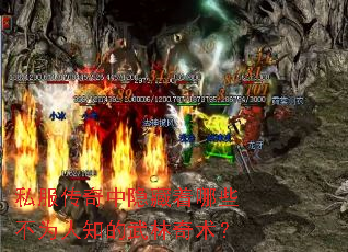 ˽����������������Щ��Ϊ��֪������������