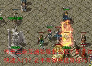 传奇三端互通私服怎么玩?新手如何快速入门?老手有哪些进阶技巧? 传奇三端互通私服怎么玩?新手如何快速入门?老手有哪些进阶技巧?