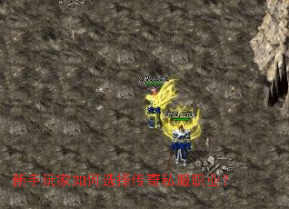 ����������ѡ����˽��ְҵ��