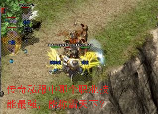 ����˽�����ĸ�ְҵ������ǿ���ܳư����£�