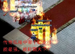 ����˽�����ĸ�ְҵ������ǿ���ܳư����£�