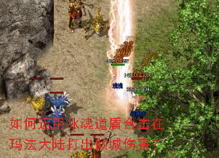 如何运用冰魂道盾合击在玛法大陆打出倾城伤害? 如何运用冰魂道盾合击在玛法大陆打出倾城伤害?