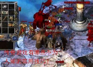 ������Ϸ����Щ��Ϊ��֪��ʵ�ü��ɣ�