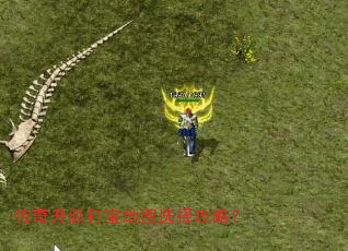 ���������򱦵�ͼѡ���ԣ�