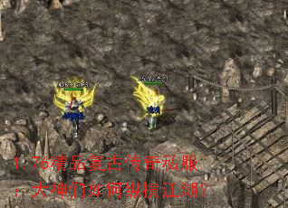 1.76��Ʒ���Ŵ���˽��������������ݺὭ����