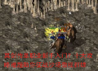 ڤ������ְҵ�������ţ�ʮ��������������սɳ������Ⱥ��