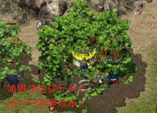 ��ο���������ɫս����ˢ��Ч�ʣ�