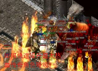 ��ο�������ʢ����Ѫ�����ɫ�ȼ���