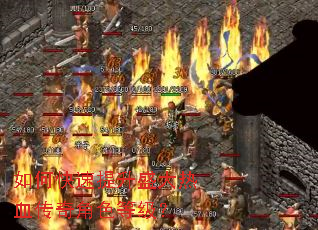 ��ο�������ʢ����Ѫ�����ɫ�ȼ���