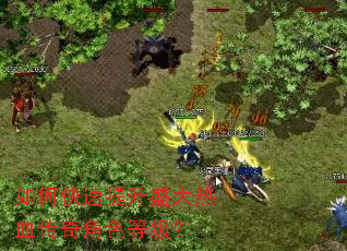 ��ο�������ʢ����Ѫ�����ɫ�ȼ���