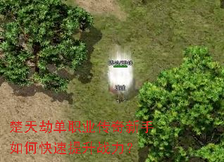 ����ٵ�ְҵ����������ο�������ս����