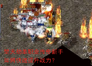 ����ٵ�ְҵ����������ο�������ս����